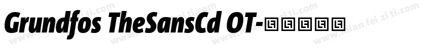 Grundfos TheSansCd OT字体转换